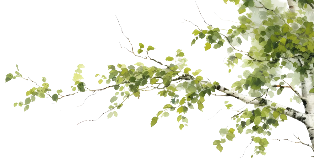 夏の大田原市：新緑