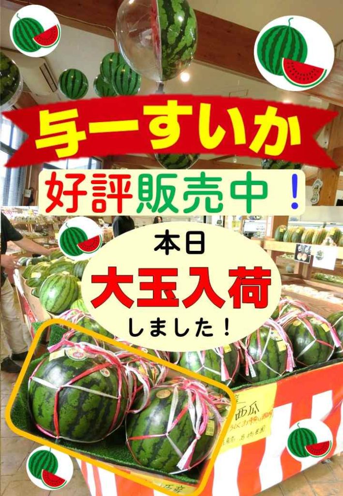 【与一すいか】大玉が入荷しました！