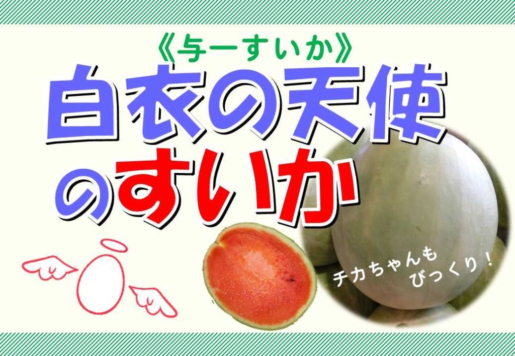 【白衣の天使のすいか】直売館に出現！
