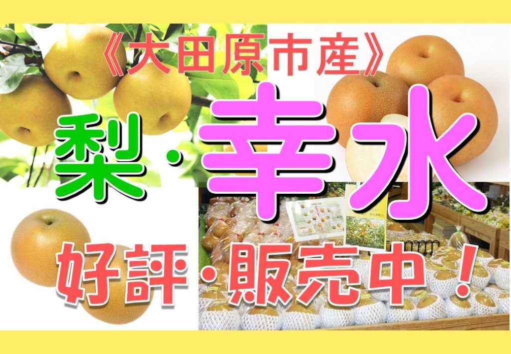 梨・幸水の季節がやってきた！