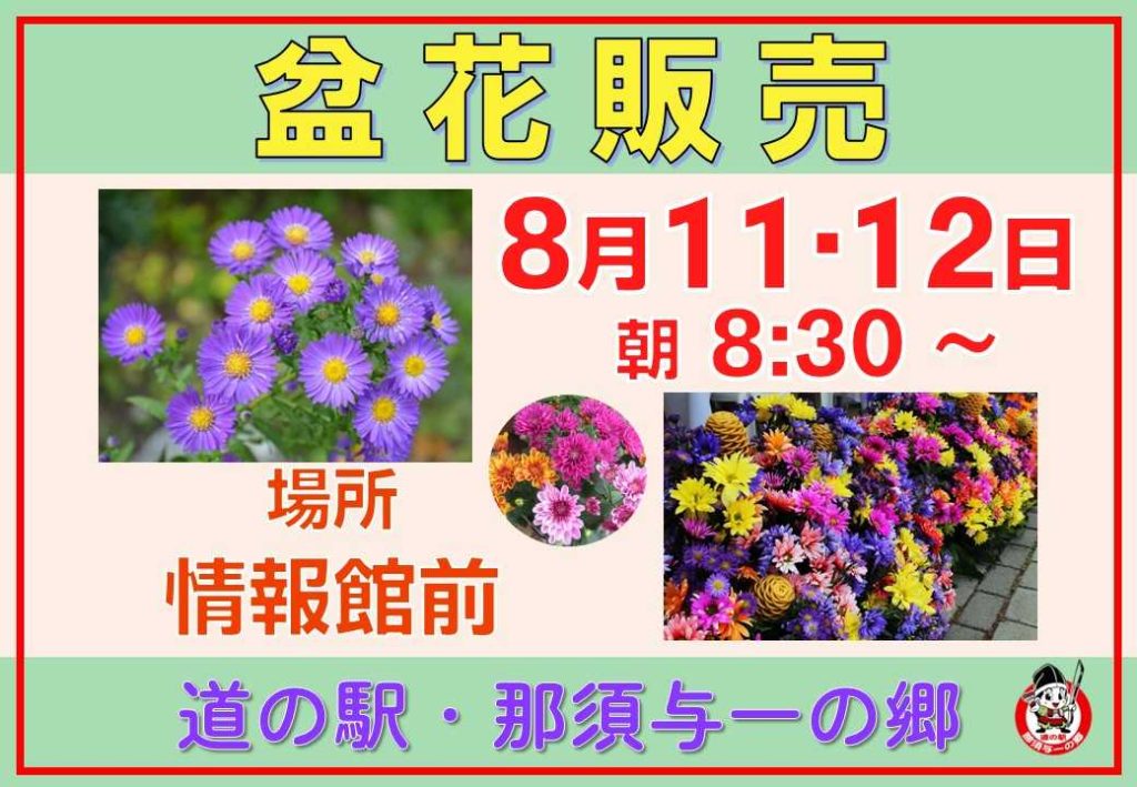 盆花販売 ８月11・12日 情報館前にて