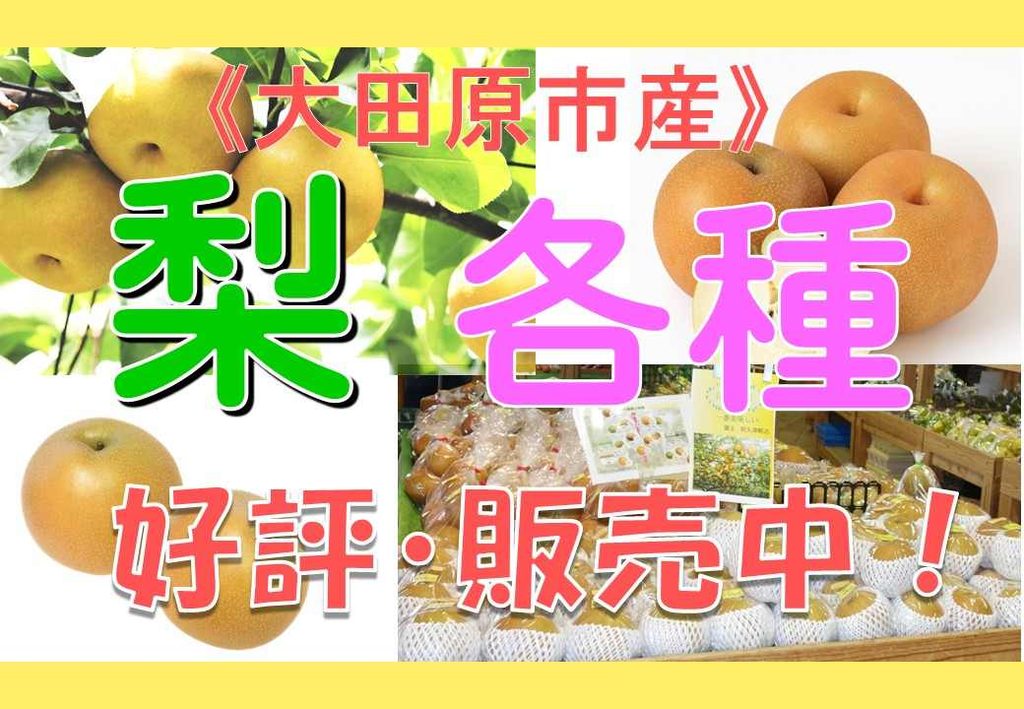 大田原産の梨、好評販売中です！