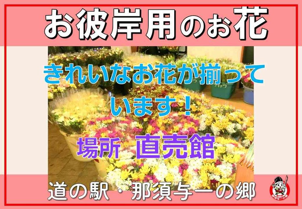 お彼岸用のお花、直売館にて販売しています！